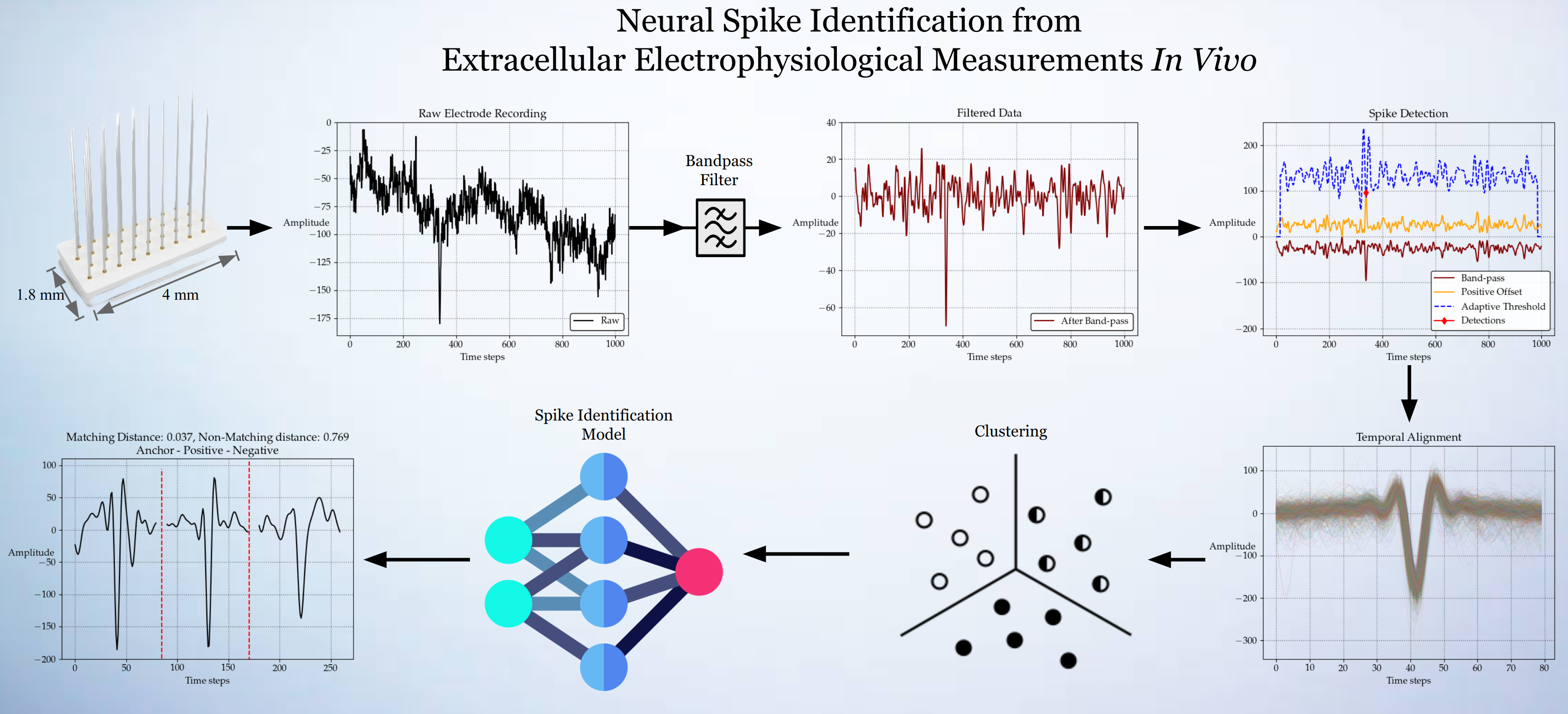 Neural spike identification from extracellular